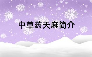 中草藥天麻簡介