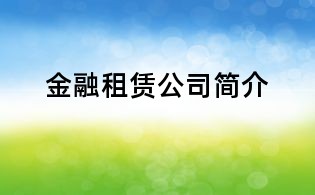 金融租賃公司簡介