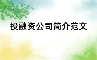 投融資公司簡介范文