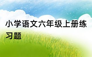 小學(xué)語文六年級上冊練習(xí)題
