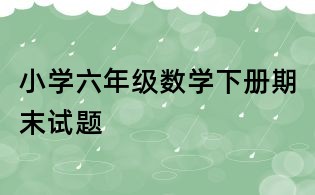 小學六年級數(shù)學下冊期末試題