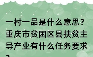 一村一品是什么意思？重慶市貧困區縣扶貧主導產業有什么任務要求？