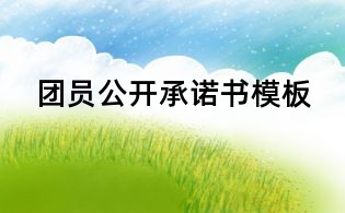 團員公開承諾書模板