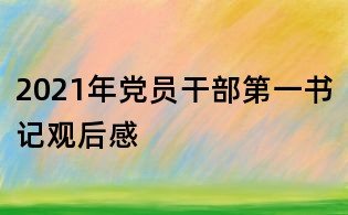 2021年黨員干部第一書記觀后感