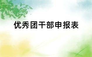 優(yōu)秀團干部申報表