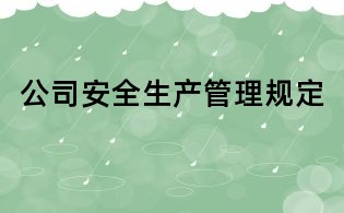 公司安全生產管理規定