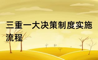 三重一大決策制度實施流程