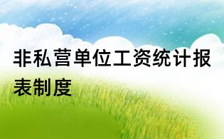 非私營單位工資統(tǒng)計報表制度