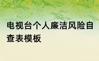 電視臺個人廉潔風險自查表模板