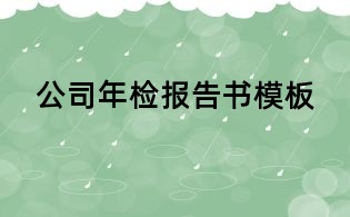 公司年檢報告書模板
