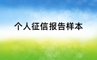個(gè)人征信報(bào)告樣本