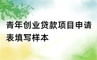青年創(chuàng)業(yè)貸款項目申請表填寫樣本