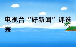 電視臺“好新聞”評選表