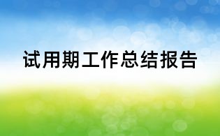 試用期工作總結報告