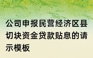 公司申報(bào)民營(yíng)經(jīng)濟(jì)區(qū)縣切塊資金貸款貼息的請(qǐng)示模板