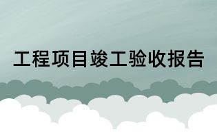 工程項目竣工驗收報告