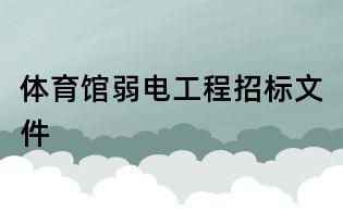 體育館弱電工程招標文件