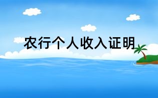 農行個人收入證明