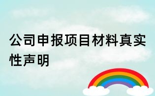公司申報項目材料真實性聲明