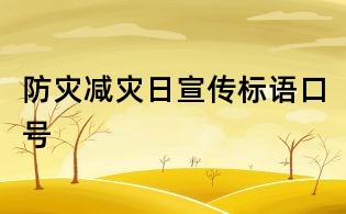 防災減災日宣傳標語口號