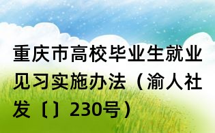 重慶市高校畢業生就業見習實施辦法（渝人社發〔〕230號）