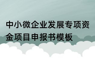 中小微企業發展專項資金項目申報書模板