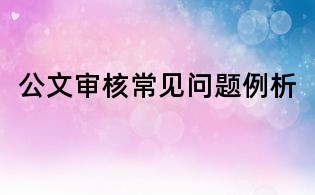 公文審核常見問題例析