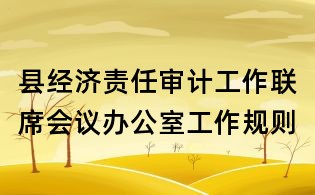 縣經濟責任審計工作聯席會議辦公室工作規則
