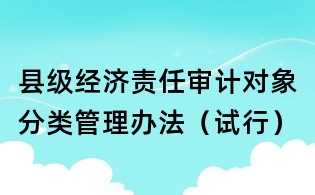 縣級(jí)經(jīng)濟(jì)責(zé)任審計(jì)對(duì)象分類管理辦法（試行）