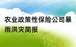 農(nóng)業(yè)政策性保險(xiǎn)公司暴雨洪災(zāi)簡(jiǎn)報(bào)