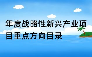 年度戰略性新興產業項目重點方向目錄