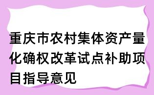 重慶市農村集體資產量化確權改革試點補助項目指導意見