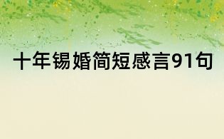 十年錫婚簡短感言91句