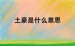 土豪是什么意思