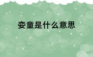 孌童是什么意思