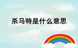 殺馬特是什么意思