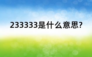 233333是什么意思?