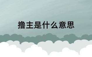 擼主是什么意思