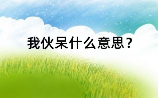 我伙呆什么意思？