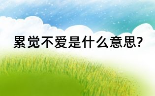 累覺不愛是什么意思?