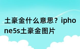 土豪金什么意思？iphone5s土豪金圖片