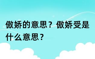 傲嬌的意思?傲嬌受是什么意思?