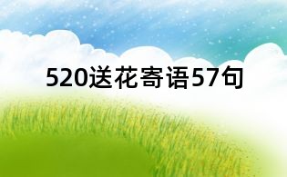 520送花寄語57句
