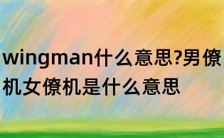 wingman什么意思?男僚機(jī)女僚機(jī)是什么意思