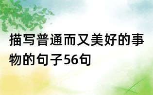 描寫普通而又美好的事物的句子56句