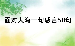 面對(duì)大海一句感言58句