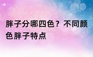 胖子分哪四色?不同顏色胖子特點(diǎn)