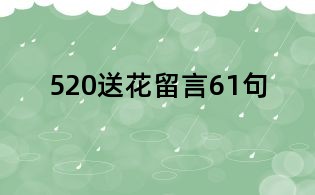 520送花留言61句