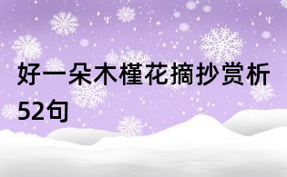 好一朵木槿花摘抄賞析52句