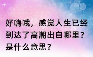 好嗨哦,感覺人生已經到達了高潮出自哪里?是什么意思?